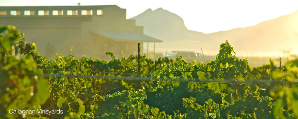 In Vino Veritas: Southern Arizona Wineries You Need to Tour