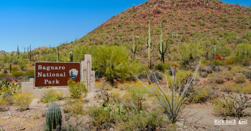 Southern Arizona’s National Parks and Forests: Treasures of the Desert (Part One)