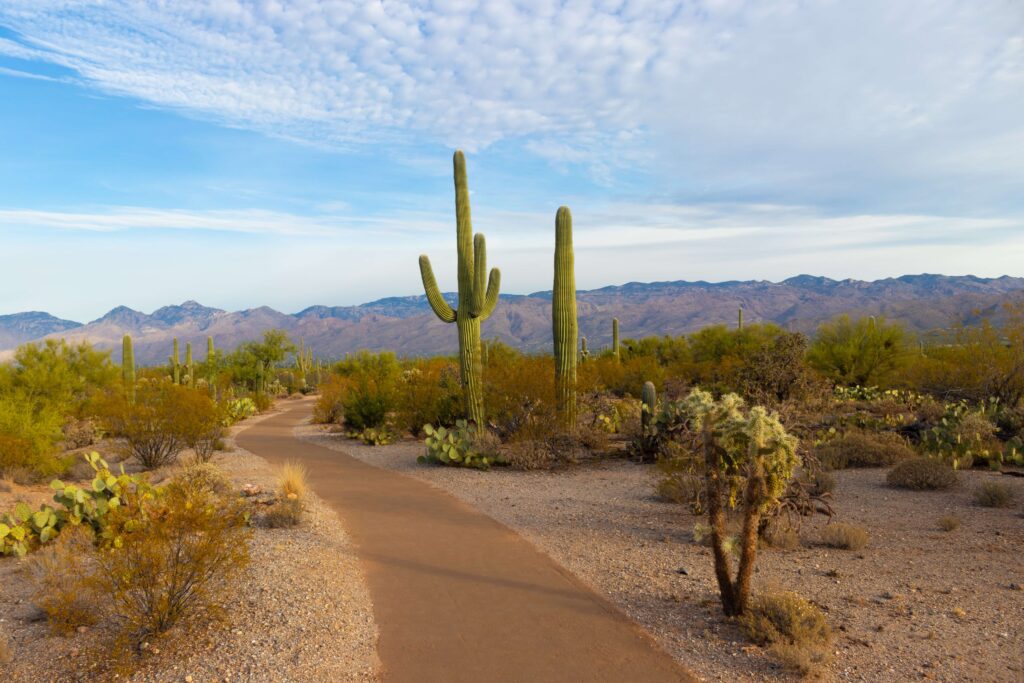 What Makes Tucson AZ One of the Safest Places to Live