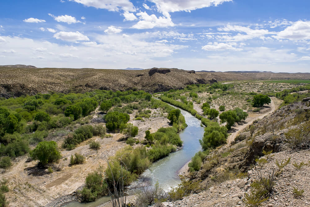 Disturbance in Regulated Riparian Habitat