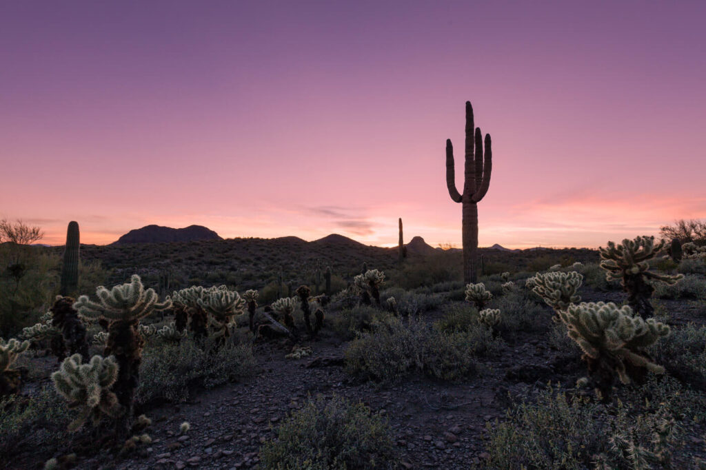 Lot and Land Loans are Still Plentiful in Tucson