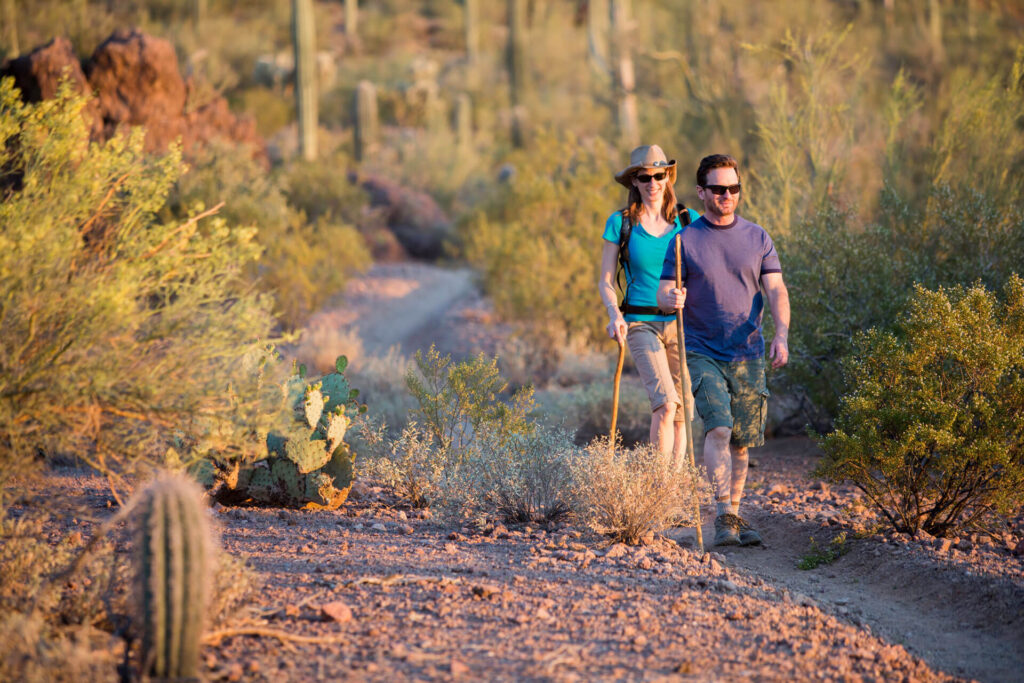 8 of the Best Hikes to Explore Tucson Terrain