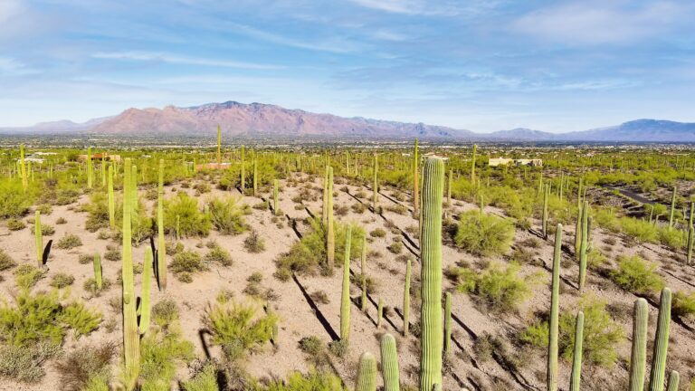 Ridgetop Site in Tucson Mountains