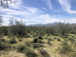 Private Ranch or Wonderful Lot Split