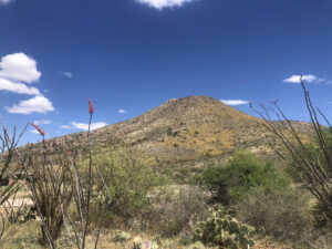 Elevated Views Over Tucson Basin