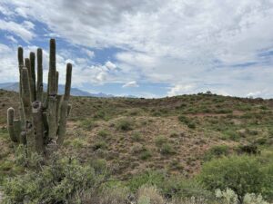 6 Lots in Copper Hills Estates