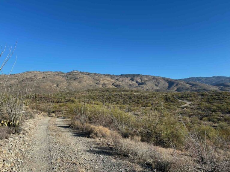 Ridgetop Homesite with 360° Views – Parcel C