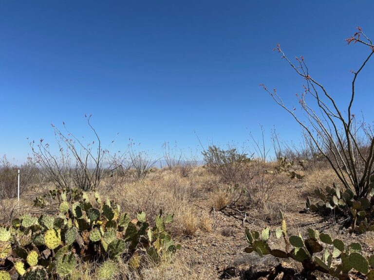 Rare 13-Acre Lot with Sweeping Desert Views