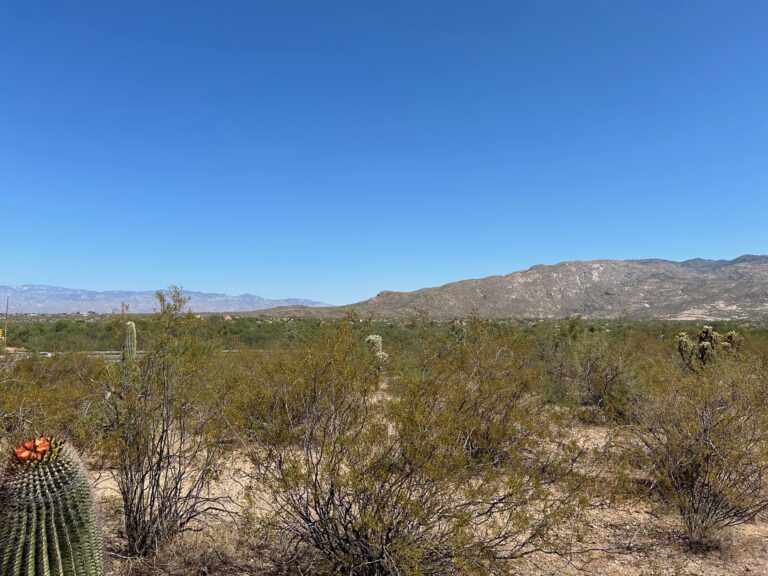 Exceptional 28.79-Acre Corner Lot in Rapidly Growing Vail