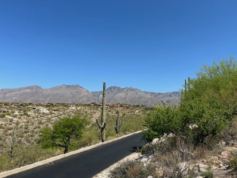 Rare Foothills Ridgetop Lot with Panoramic Tucson Views