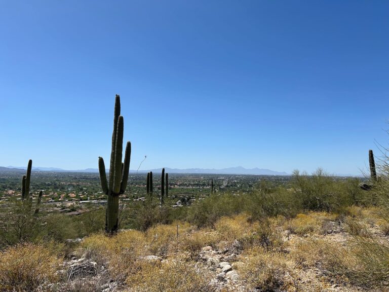 1.11 Acre Build Site with Views of Every Mountain Range
