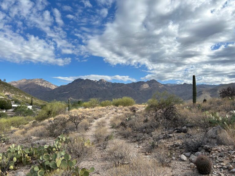 Private Elevated Acre with Sweeping Front Range Views
