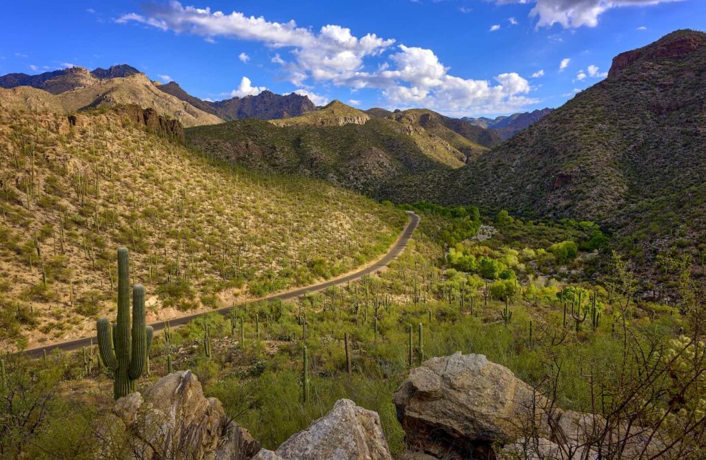 How to Spot a Lot with Long-Term Investment Potential