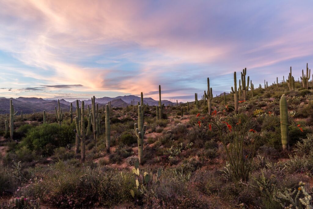 Is a Sloped Lot Right for You? What to Know Before You Buy