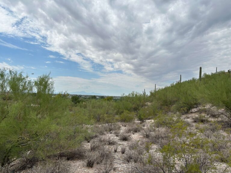 Rare 4.9-Acre Foothills Ridge Lot with Spectacular Tucson Views
