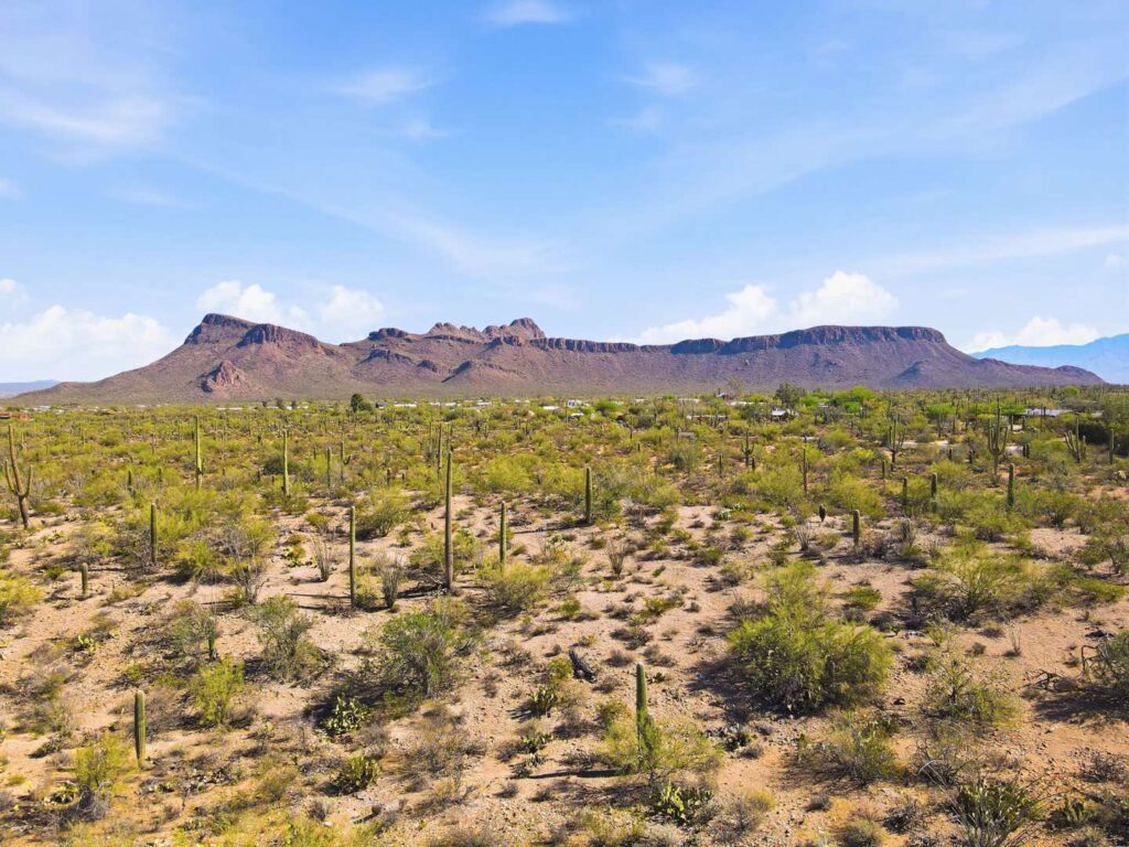 montanas-del-sol-1