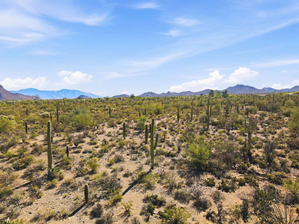 montanas-del-sol-2