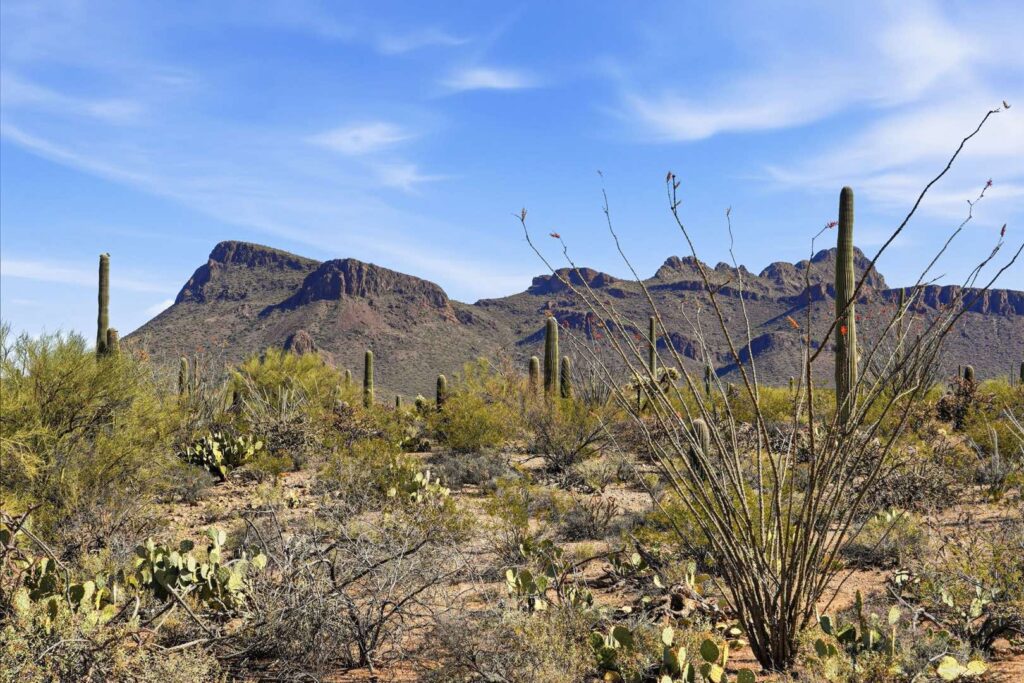 montanas-del-sol-20