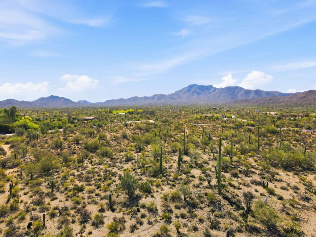 montanas-del-sol-3