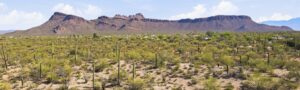 13 New 1+ Acre Tucson Homesites with Mountain Views