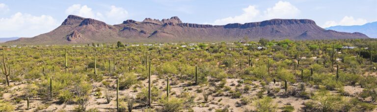 13 New 1+ Acre Tucson Homesites with Mountain Views
