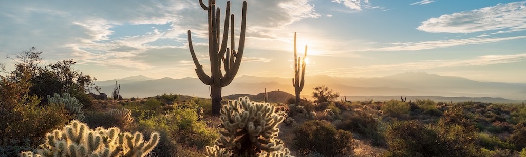 What are the Best Areas in Tucson for Custom Home Lots?